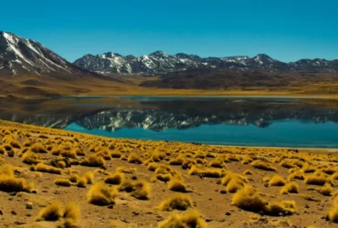 Chile - Deserto do Atacama