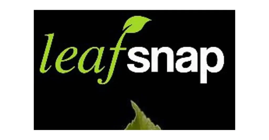LeafSnap Aplicativo