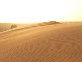 Desertos mais bonitos do mundo