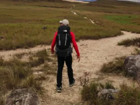 Trekking