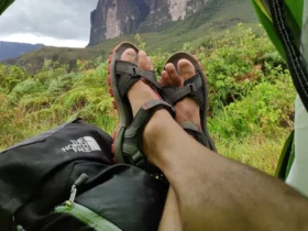 Vista Monte Roraima